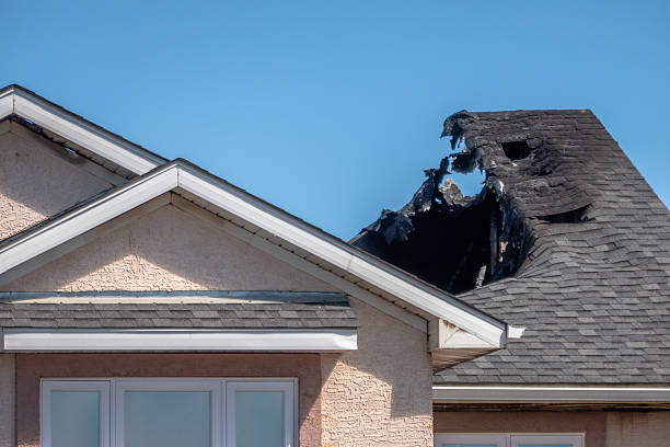 Top rated local Odor Removal specialists in Dumfries, VA